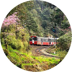 Alishan Forest Railway photograph