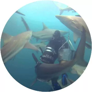 Aliwal Shoal - Coral reef in South Africa