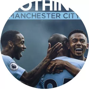 All or Nothing: Manchester City