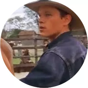 All the Pretty Horses - Novel by Cormac McCarthy