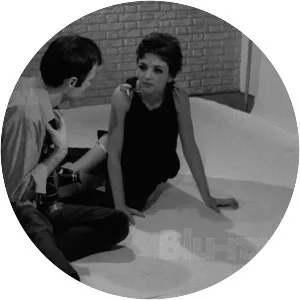 All the Sins of Sodom