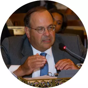 Allan Domb - Politician