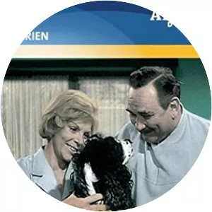 Alle meine Tiere - German television series