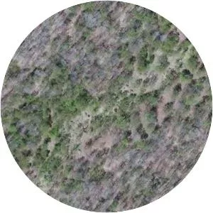 Allegheny Airlines Flight 736 - Airplane crash