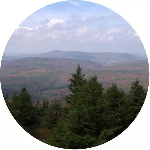 Allegheny Mountains - Mountain range in West Virginia