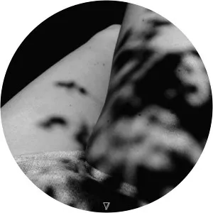 allen hulsey aracil - Musical artist