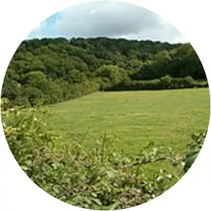 Aller and Beer Woods - 