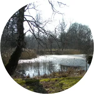 Allerød Sø - Lake in Denmark