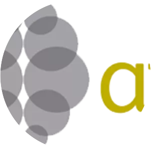 Alliance for Financial Inclusion