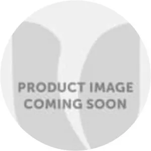 Allium aflatunense - 