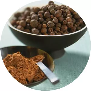 Allspice
