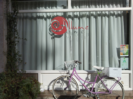 Allume yoga - Yoga retreat center in Arriondas, Spain