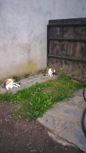 Almacenes Chaos Montero S L