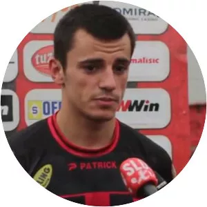Almedin Ziljkić - Football player