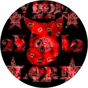 Almighty Vice Lord Nation