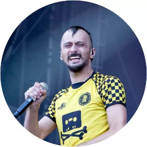 Almir Hasanbegović - Musician