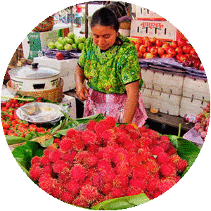 Almolonga - Municipality in Guatemala