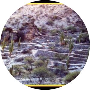 Alonso Mercado y Villacorta