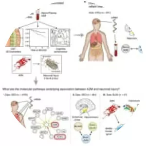 alpha-2-Macroglobulin - Protein
