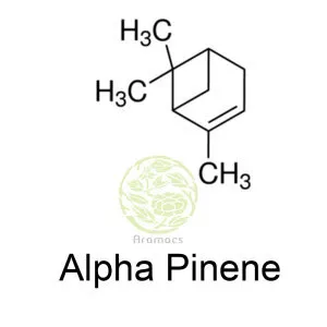alphaPinene