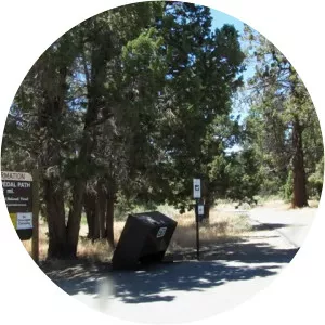 Alpine Pedal Path Trail 1E50