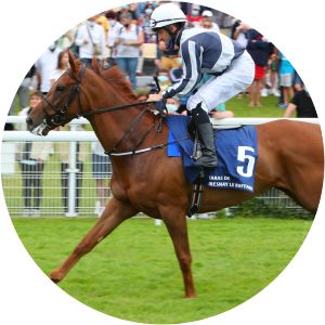 Alpine Star photograph