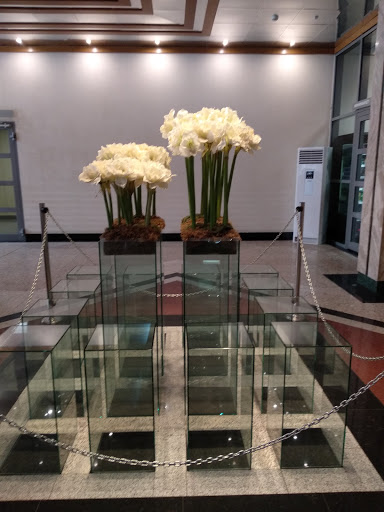 Alrud - Law firm in Moscow, Russia