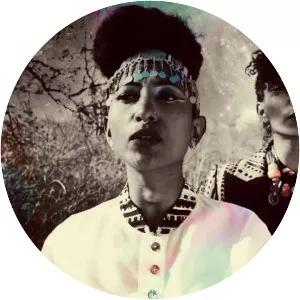 Alsarah - Sudanese singer