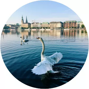 Alster - 