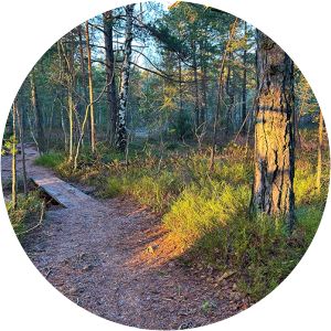 Älta mosse-Strålsjön - 