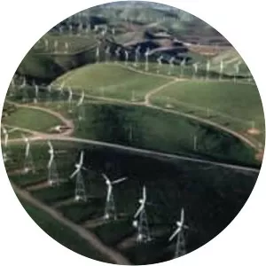 Altamont Pass wind farm - 