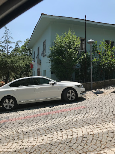 ALTINOLUK 08 NOLU ASM