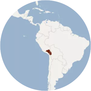 Altiplano chinchilla mouse