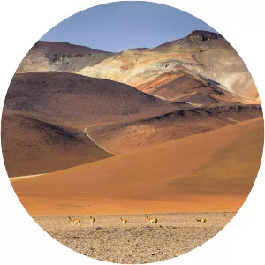 Altiplano - 