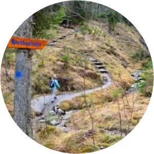 Altlacher Hoch-Kopf (Altlacher Hochkopf)