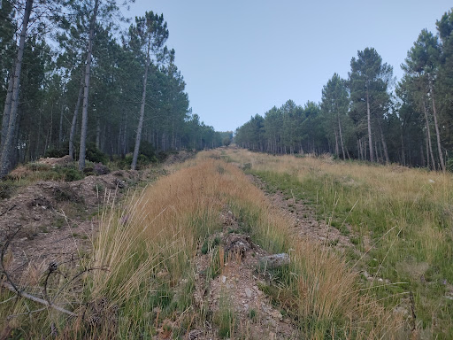 Alto dos Filgueiros - Hiking area in Spain