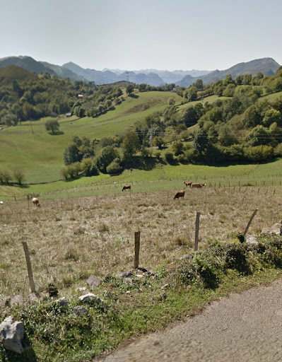 Alto las Cruces  - Road cycling in Spain