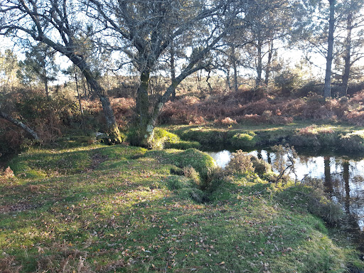 Alto Minho Wind Farm - Wind farm in Viana do castelo, Portugal