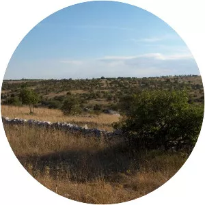 Altopiano delle Murge