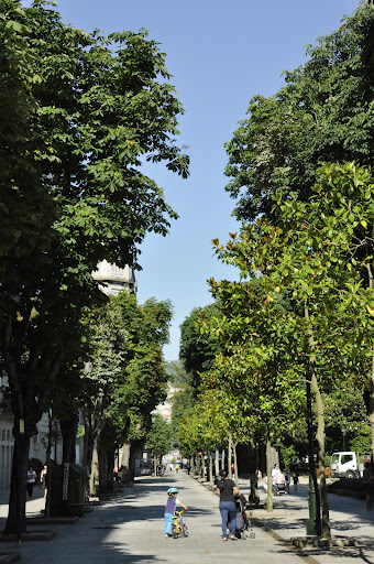 Aluyates Galicia - Yacht club in Vigo, Spain