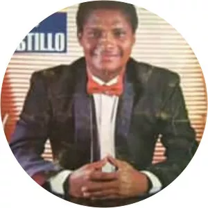 Álvaro del Castillo