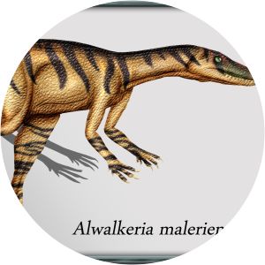 Alwalkeria - Dinosaur