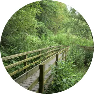 Alyn Waters Country Park - 