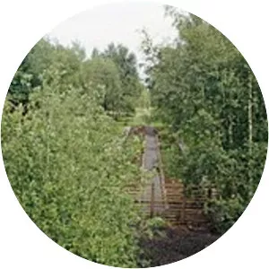 Alyth Junction railway station - 