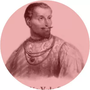 Amadeus V, Count of Savoy