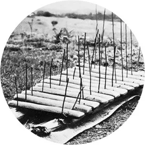 Amadinda - Musical instrument