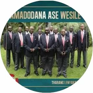 Amadodana Ase Wesile