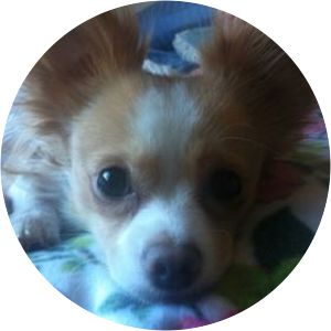 Amanda Ytterell photograph