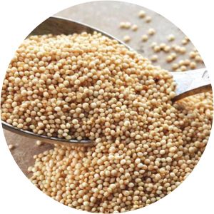 Amaranath photograph