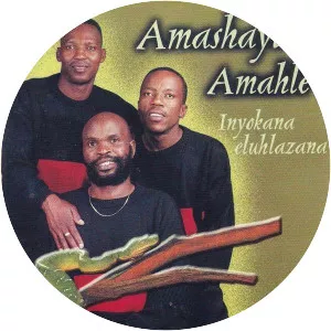 Amashayina Amahle